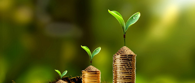 白酒業(yè)馬太效應(yīng)加劇 中小酒企抱團(tuán)取暖 行業(yè)并購(gòu)潮來臨